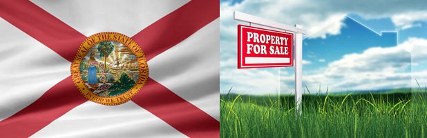 FL Real Estate image