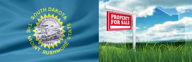 SD Real Estate image