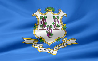 Connecticut flag picture