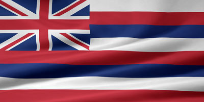 Hawaii flag picture