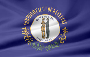 Kentucky flag picture