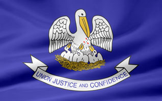 Louisiana flag picture
