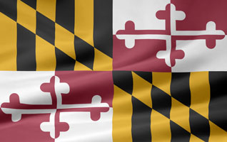 Maryland flag picture