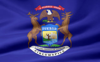 Michigan flag picture