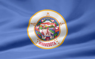 Minnesota flag picture