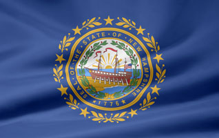 New Hampshire flag picture