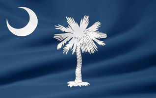 South Carolina flag picture