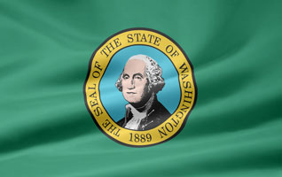 Washington flag picture